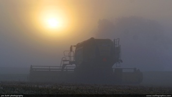 Foggy Harvest Morning