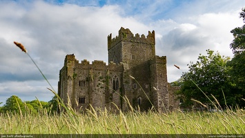 Tintern Abbey Ruins