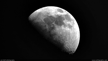 Moon Face